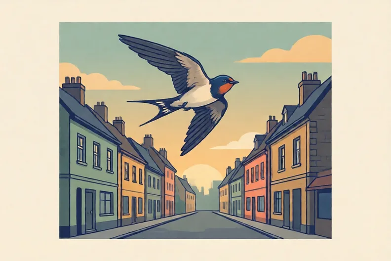 A swallow flying over a quiet street at evening