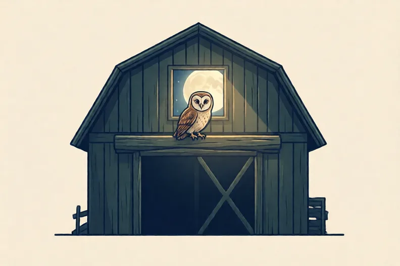 A dark barn at night with a small owl perched high on a beam